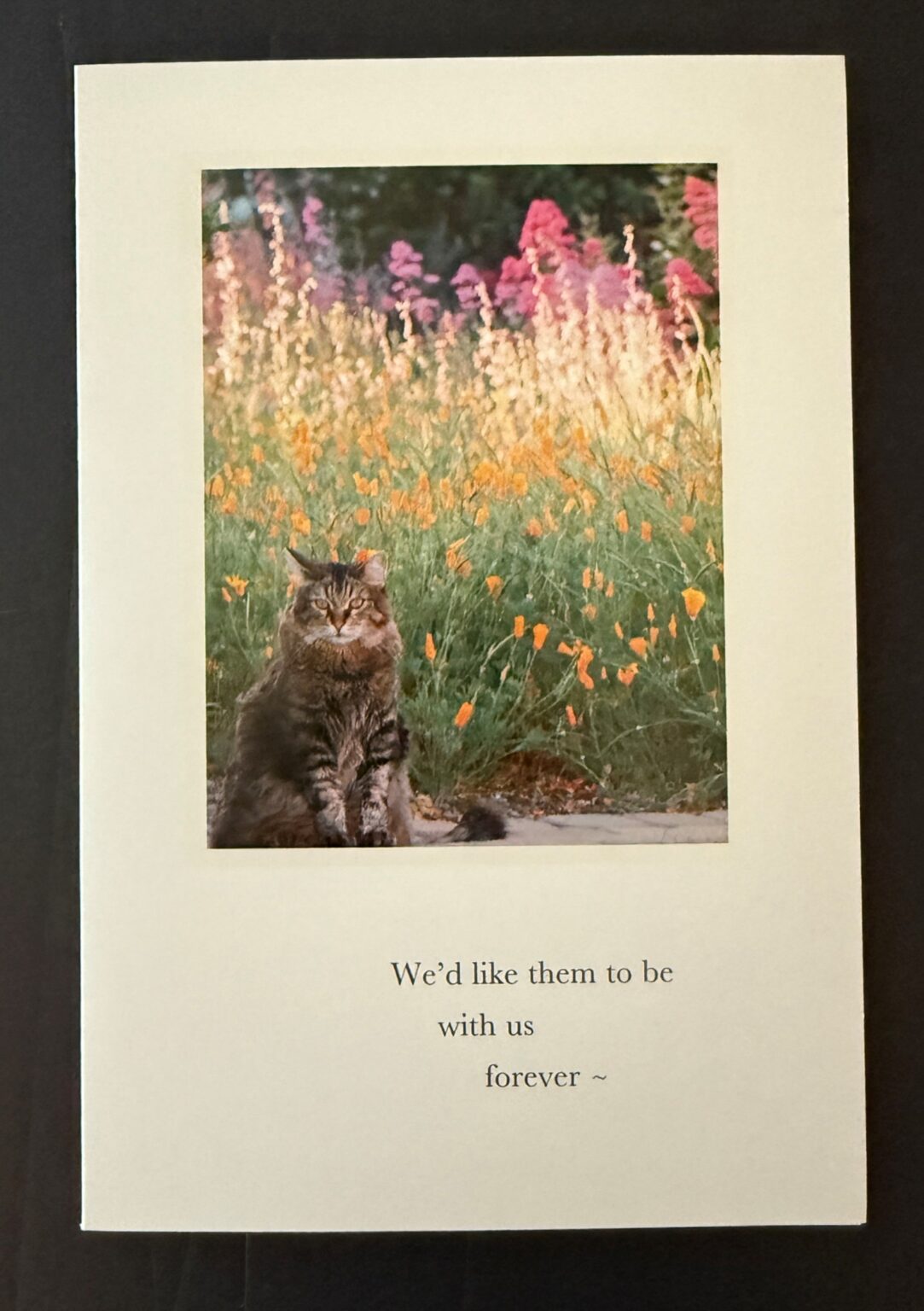 picture 23