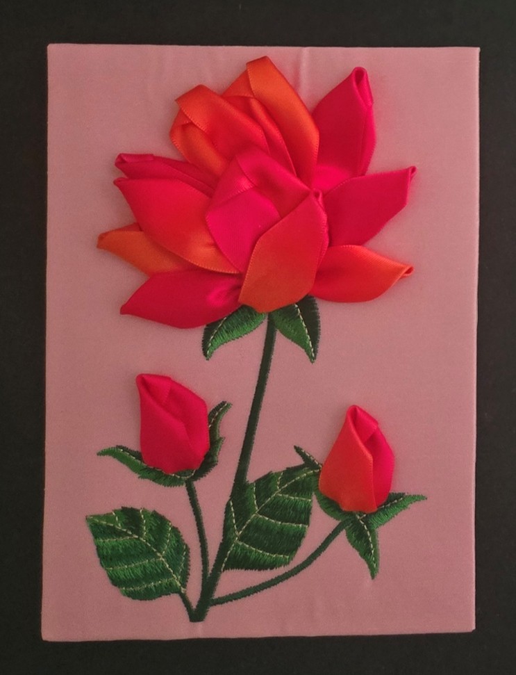pretty red rose 5.21
