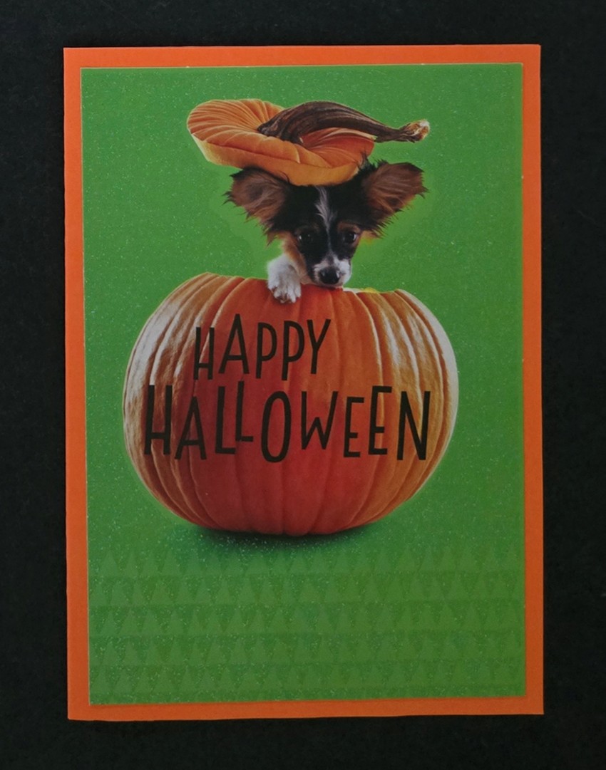 halloweed 13 copy